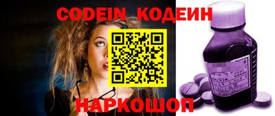 индика Можга