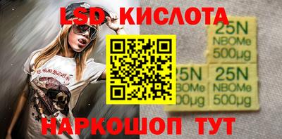индика Можга