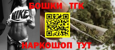 индика Можга