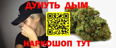 индика Можга