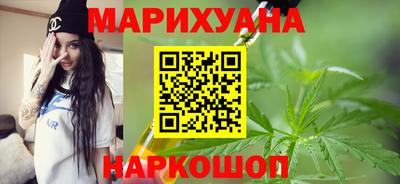 индика Можга