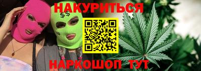 индика Можга