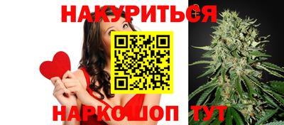 индика Можга