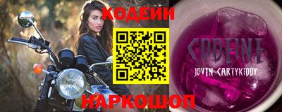индика Можга